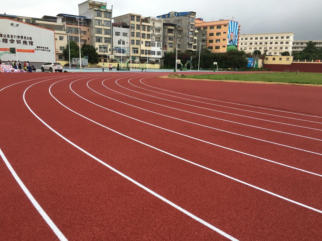 荆州市硅PU塑胶跑道材料 - 价格